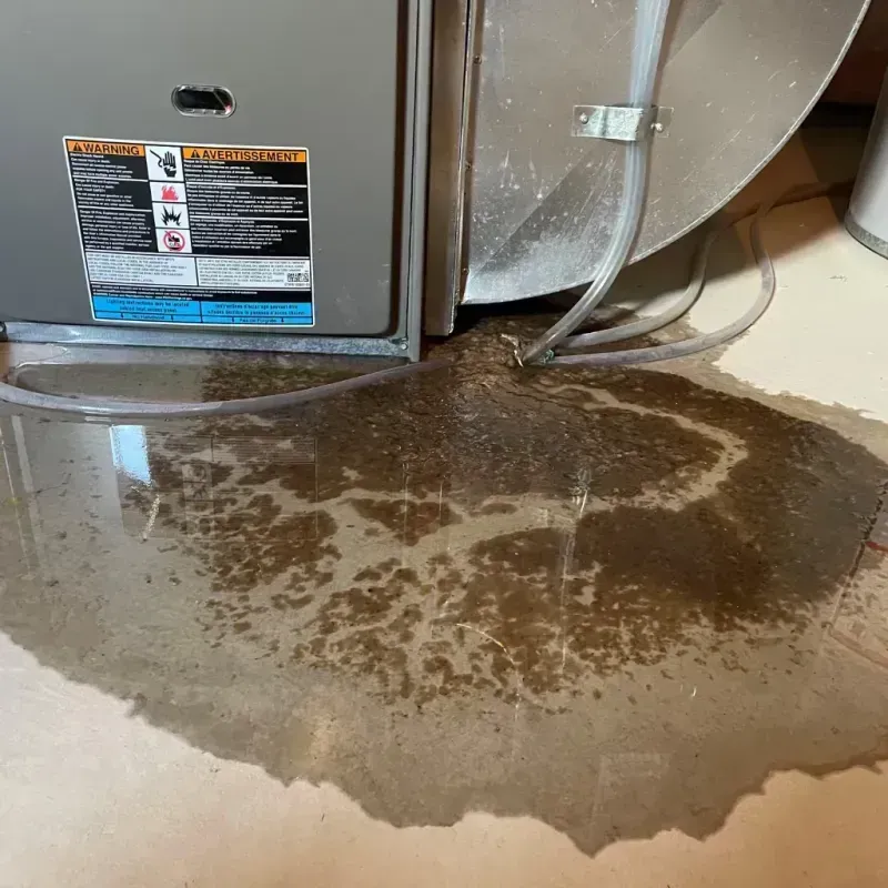 Appliance Leak Cleanup in Diamond Springs, CA